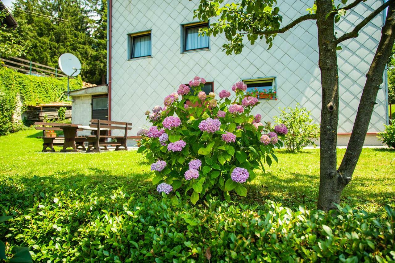 Apartman Japlenski 代尔尼采 外观 照片